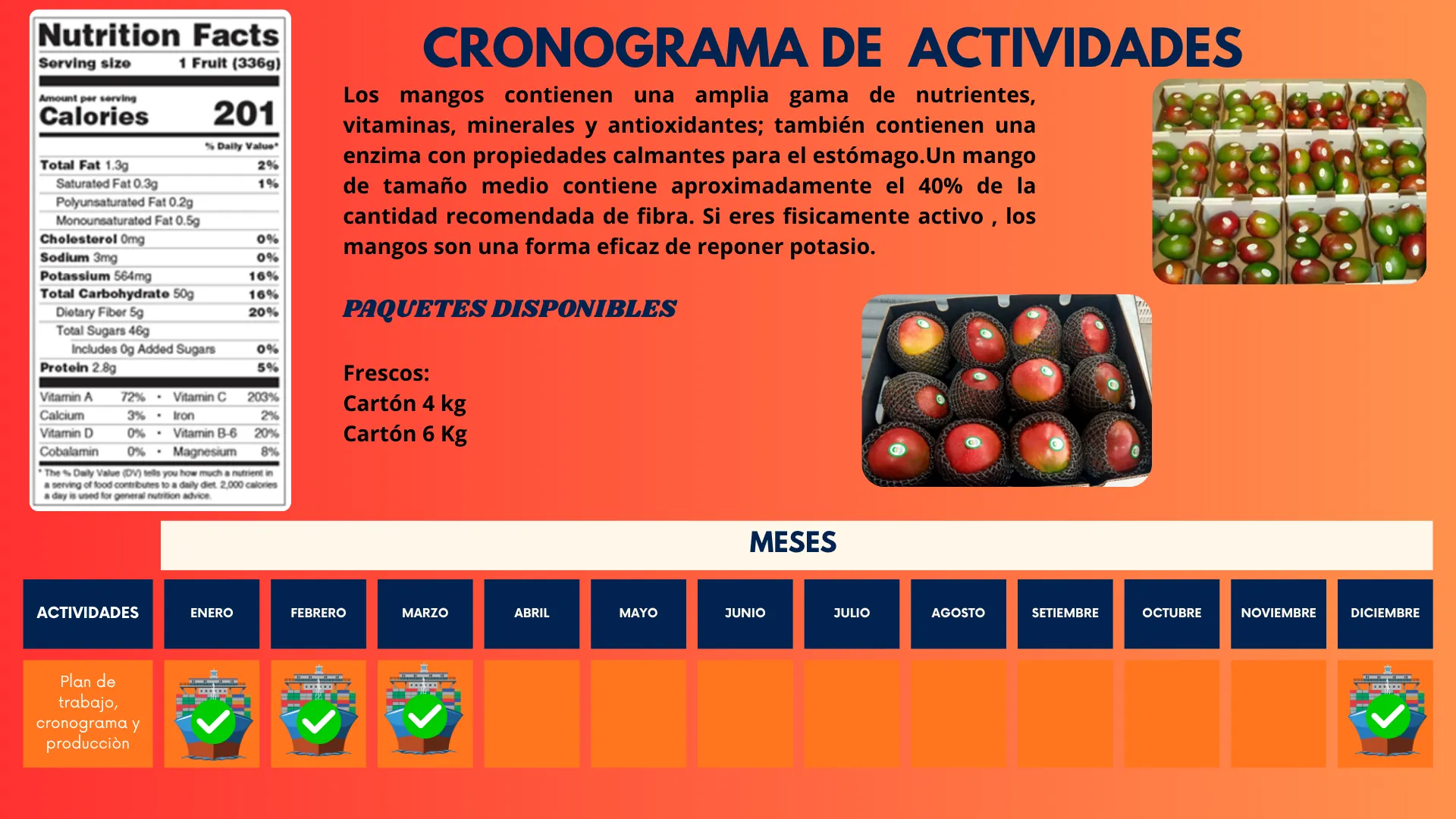 Cronograma de cosecha del mango Kent