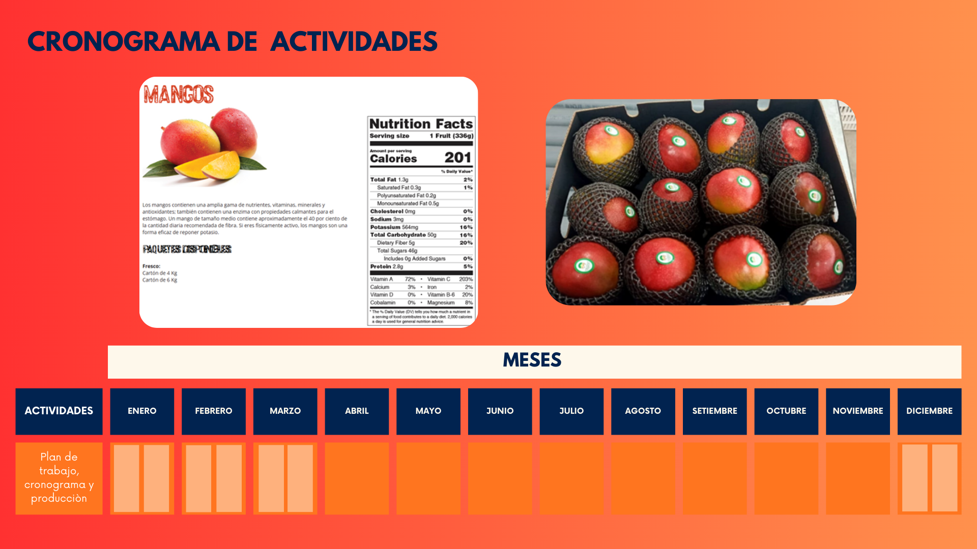 Palta