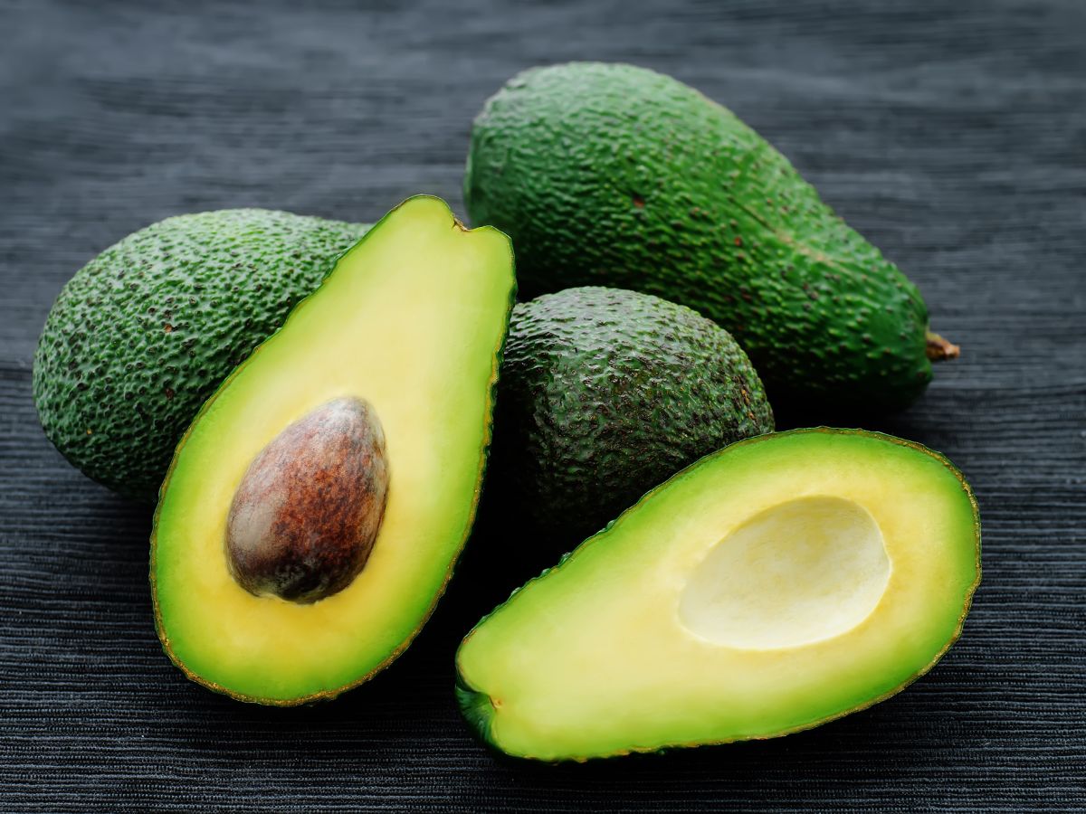Palta Hass